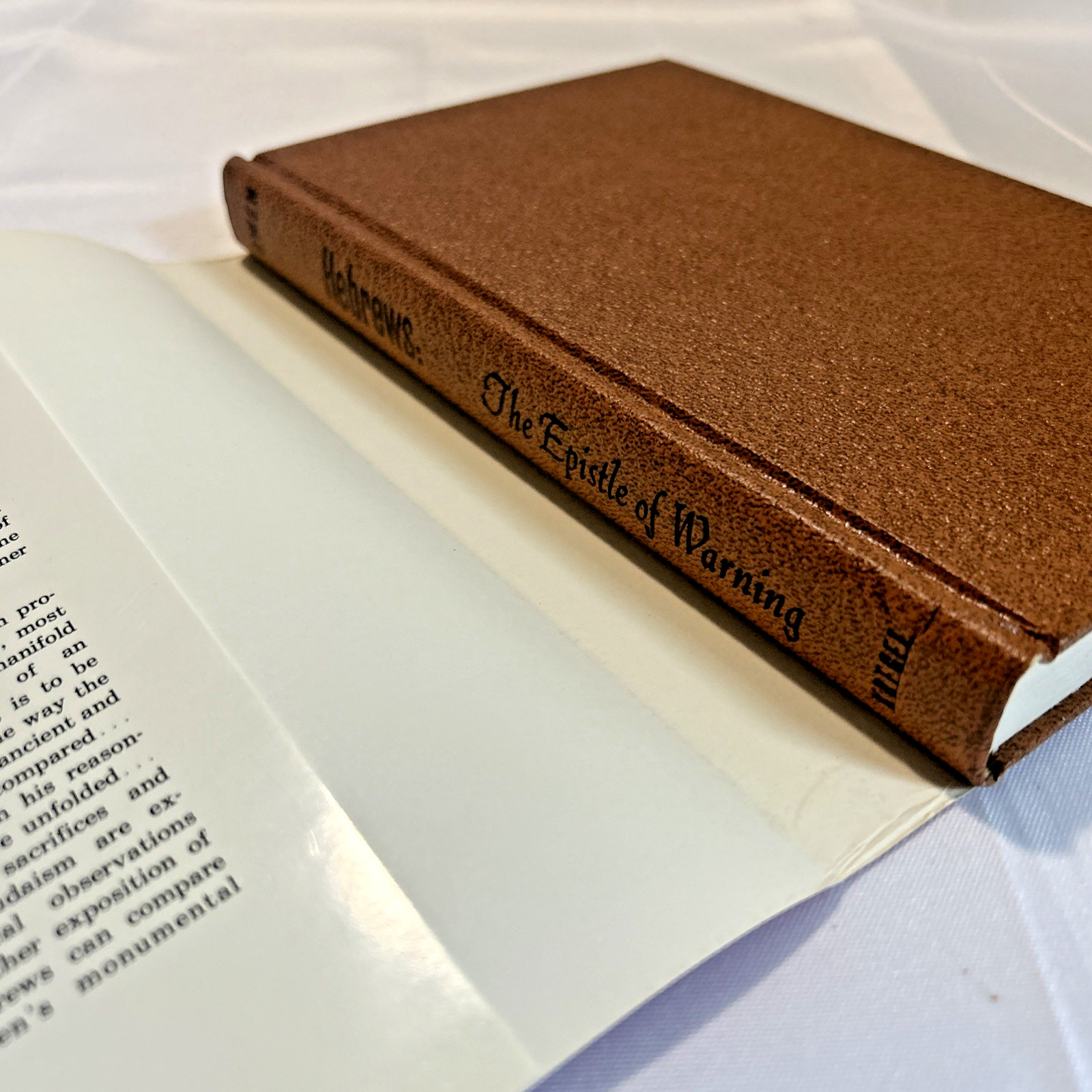 Hebrews: The Epistle of Warning (1977) ~ John Owen ~ Hardcover ~ Dust Jacket