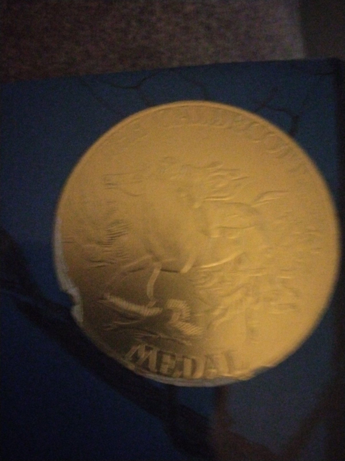 OWL MOON by Jane Yolen (HC/BJ) 1988 Caldecott Medal