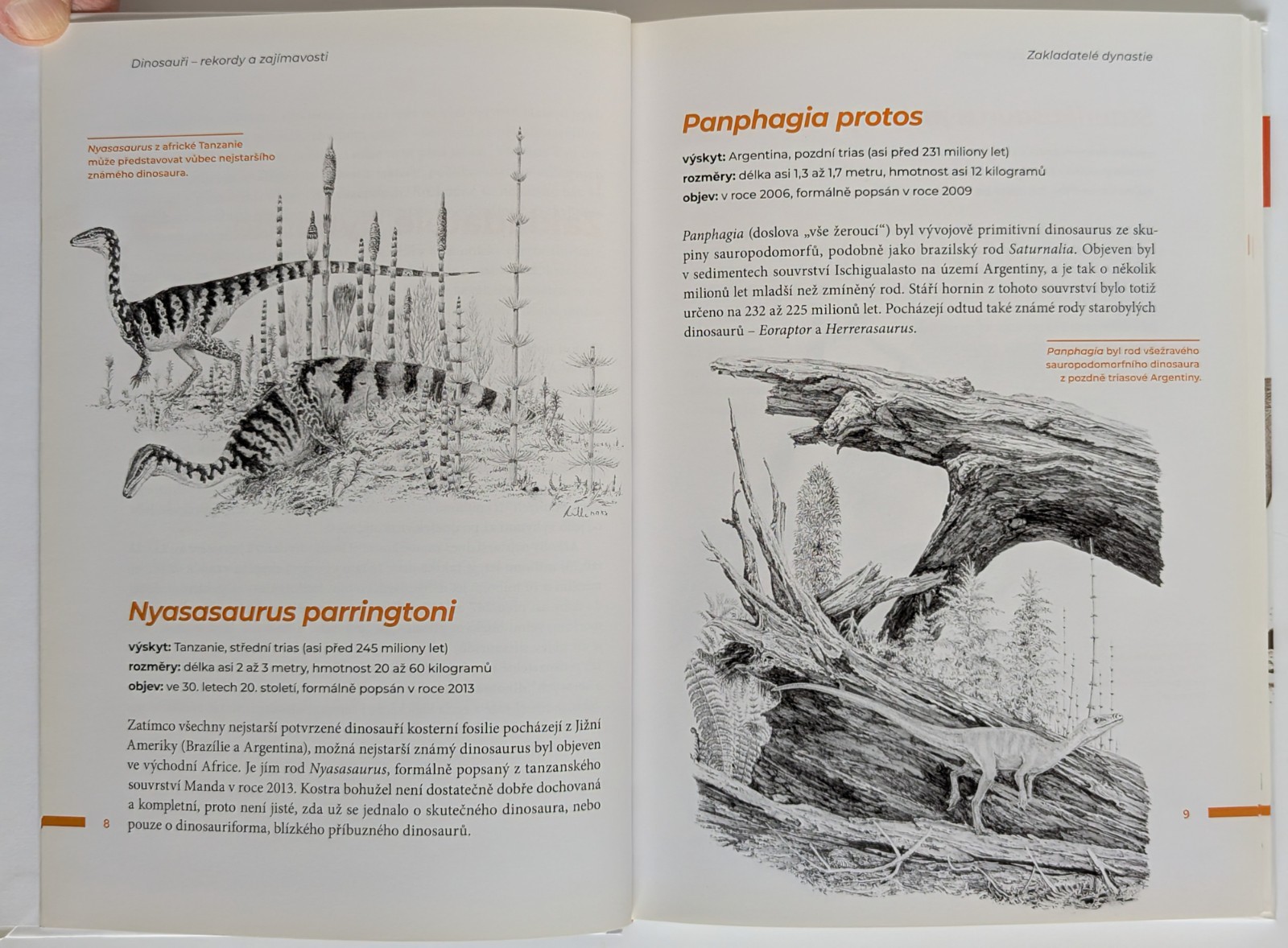 Tyrannosaurus rex Lot of 4 Czech Books on Dinosaurs Paleontology Vladimír Socha