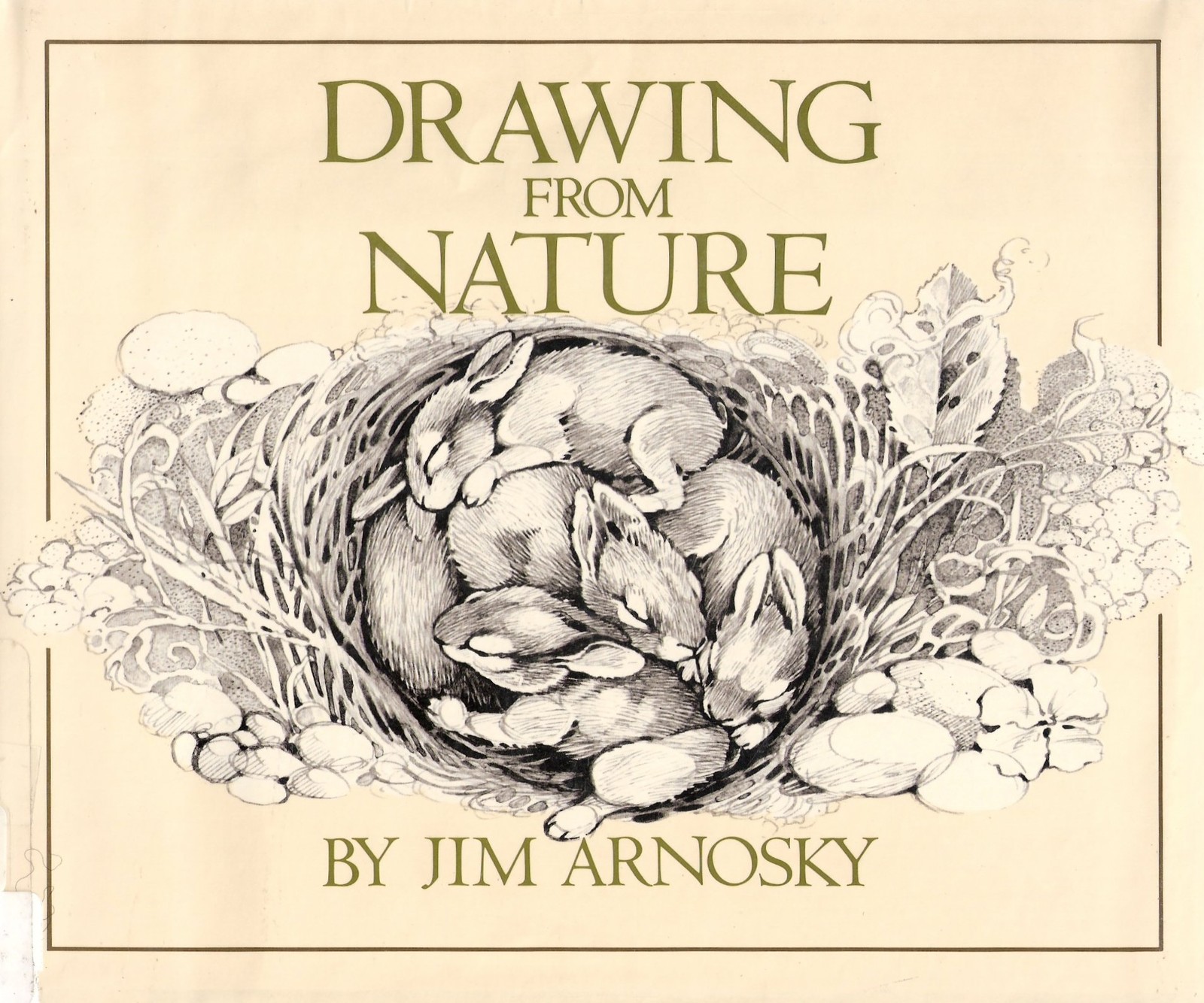 Drawing from Nature