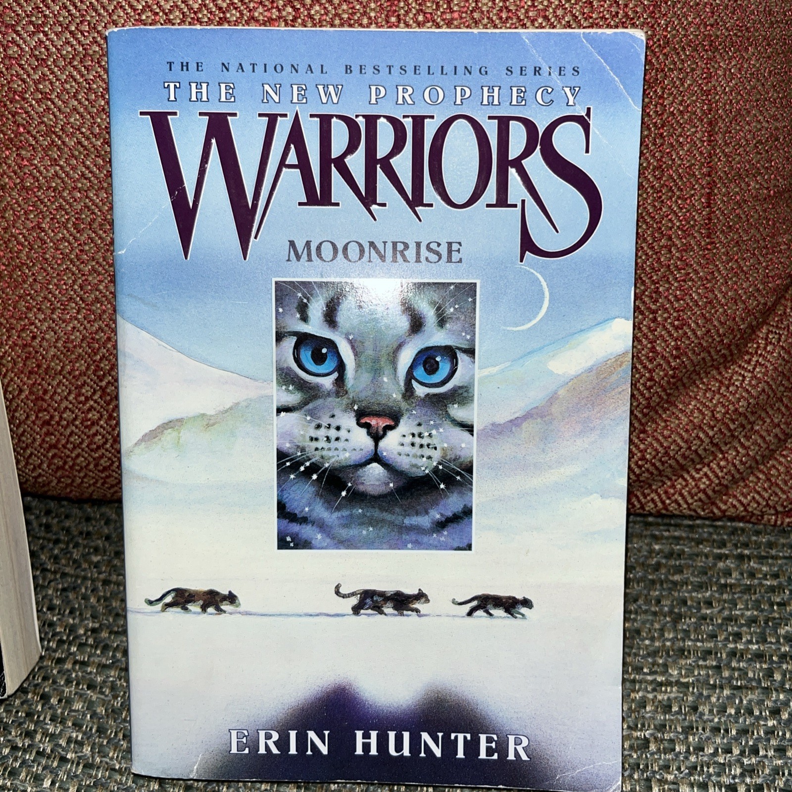 The New Prophecy Warriors Erin Hunter Paperback Volumes 1-4, 6 Lot, Set, 2006