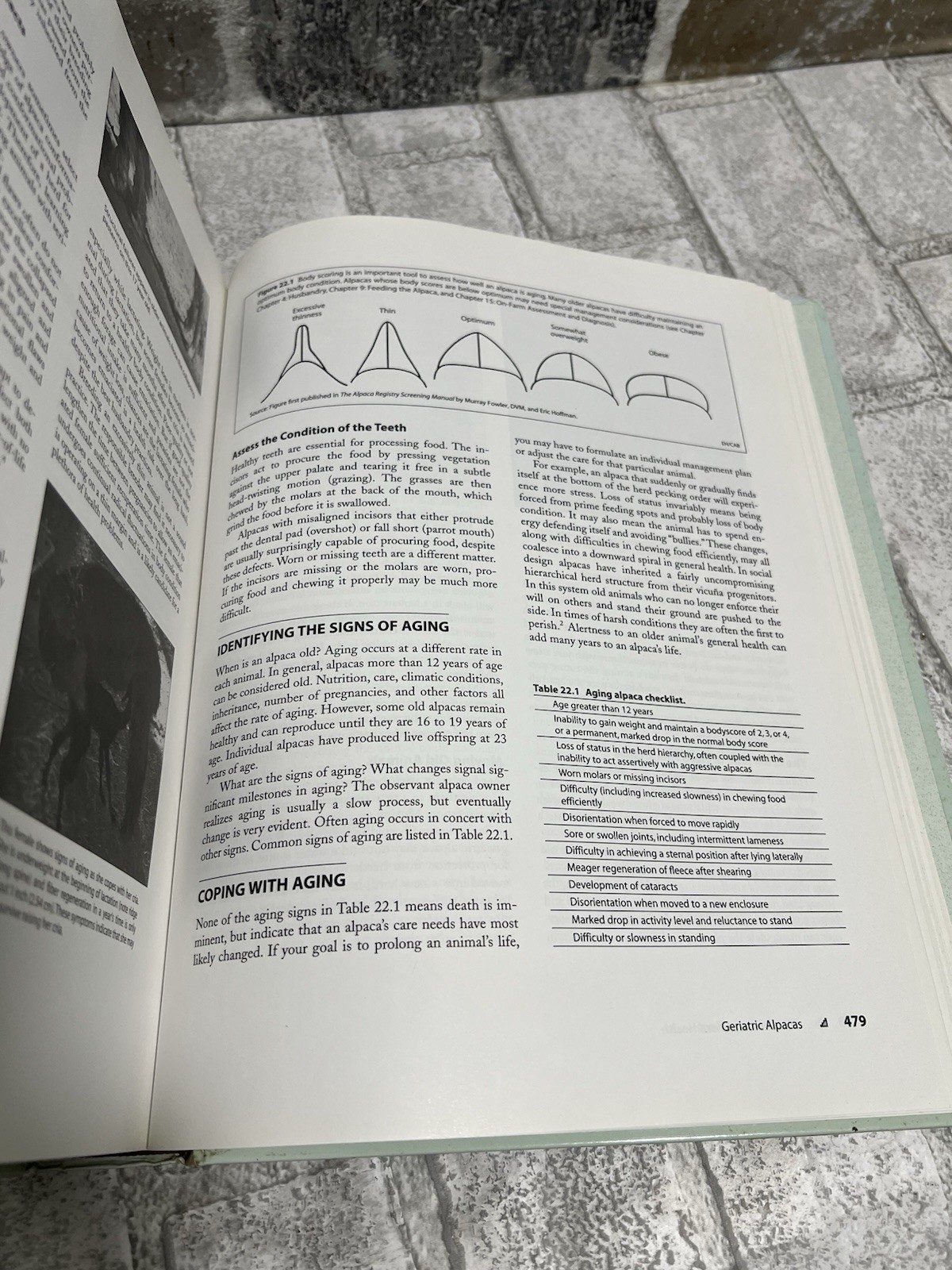 The Complete Alpaca Book: Behavior, Diet, Fiber, Genetics, 2003 (1st Ed)