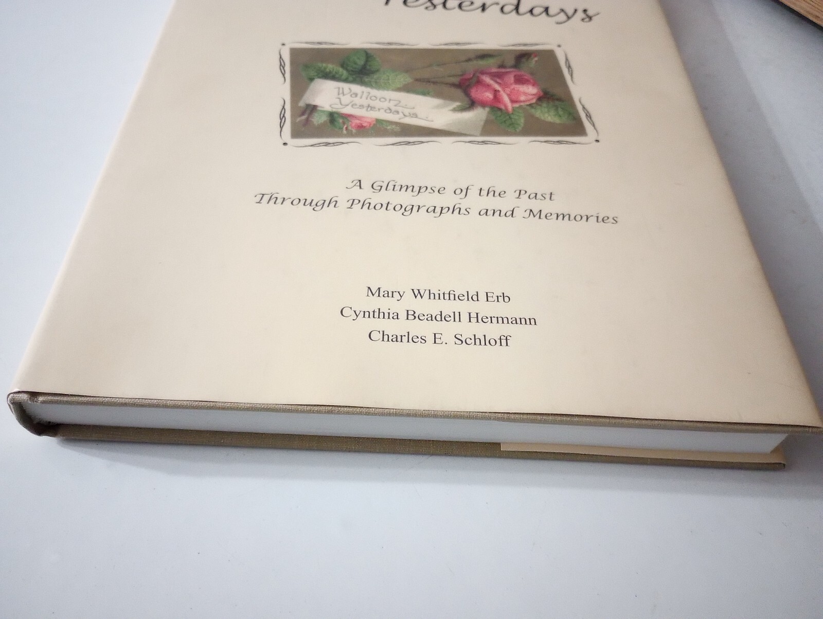 Walloon Yesterdays by Mary Whitfield Erb