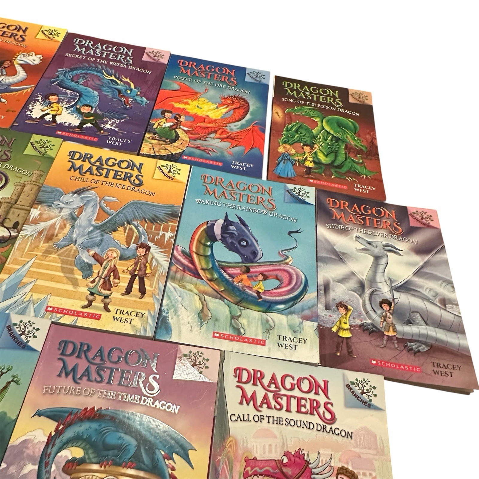 Dragon Masters Books 1–21 Book Lot Tracy West Scholastic PB Set