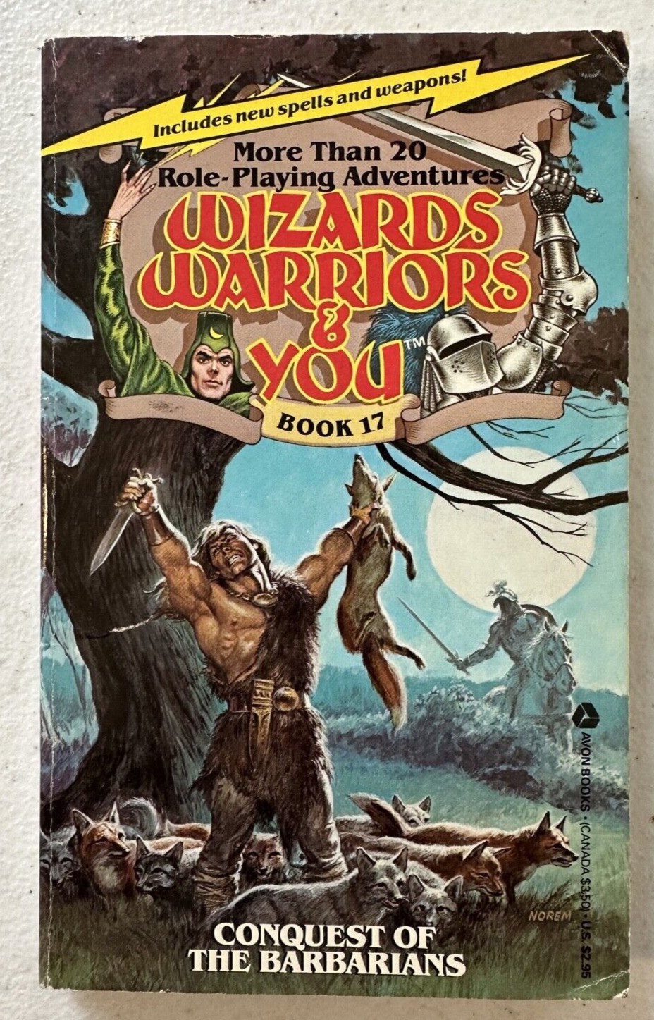 Wizards Warriors & You 1st ed PB 1986 Avon 17 choose adventure Barbarians Stine