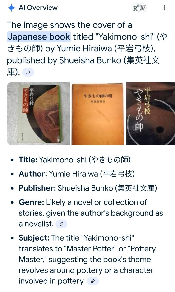 Japanese Novel: Yakimono-shi, Author: Yumie Hiraiwa, Publisher: Shueisha Bunko