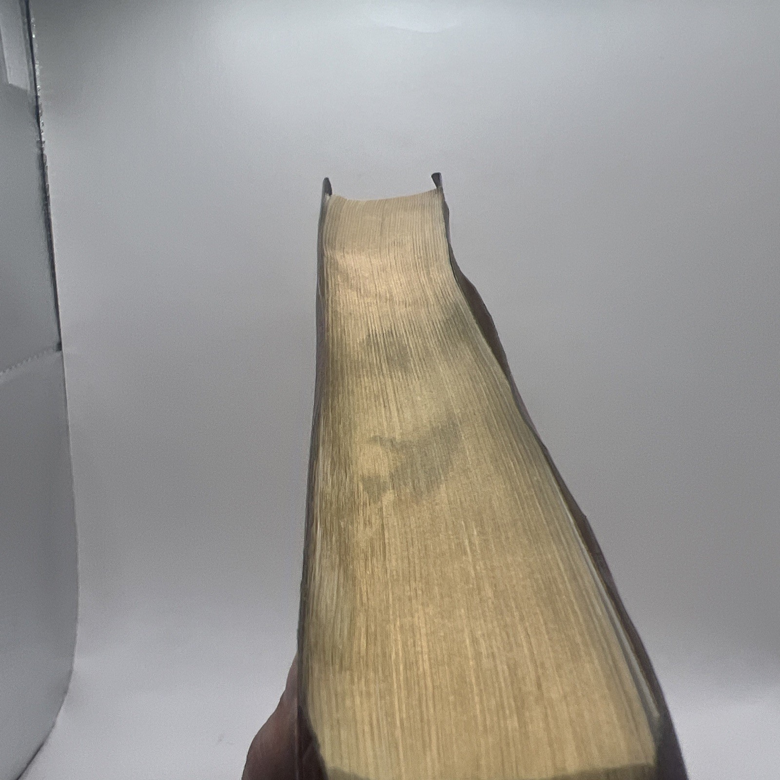 The New American Bible – Catholic World Press 2402BG Red Letter Edition