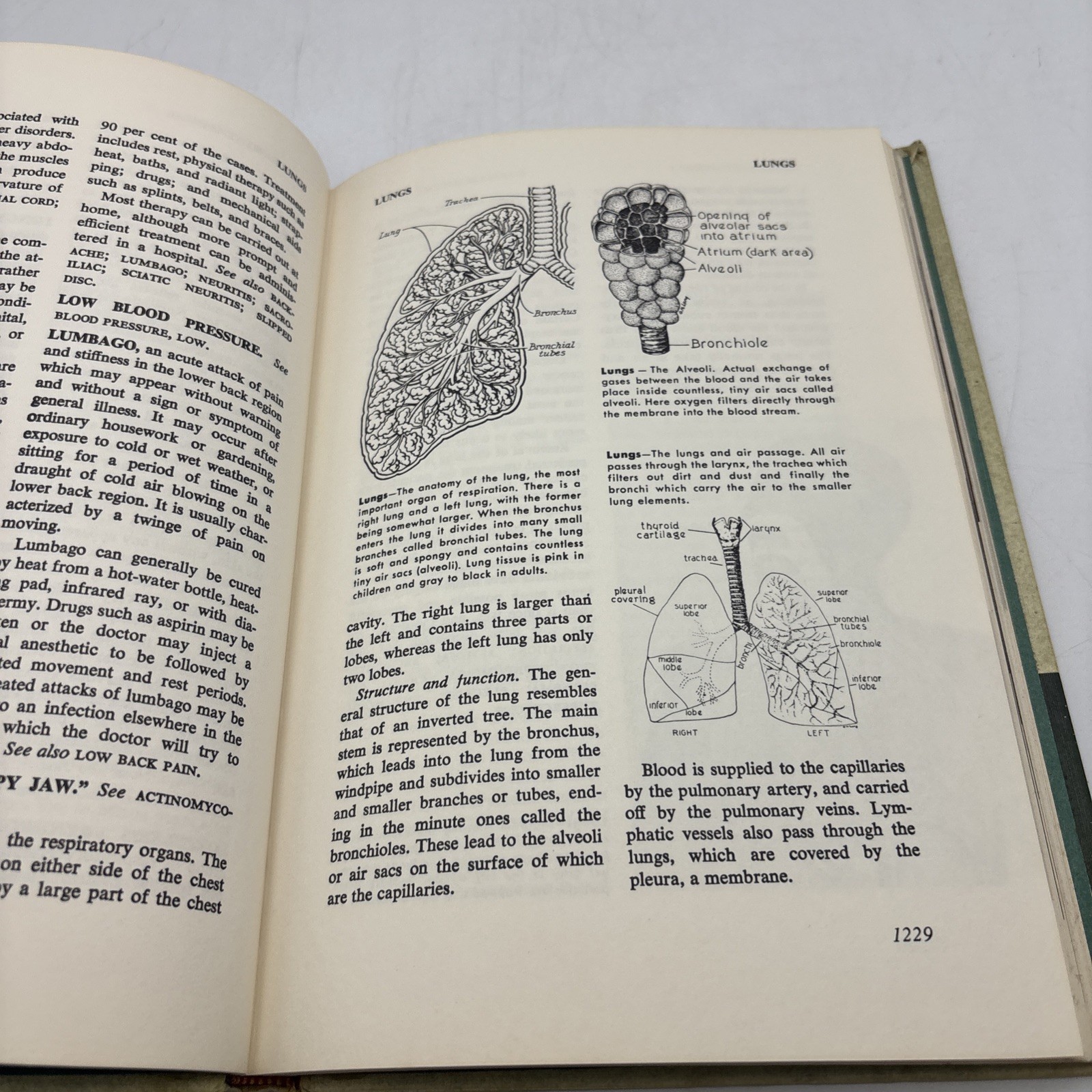 The Illustrated Medical and Health Encyclopedia (vol 9)