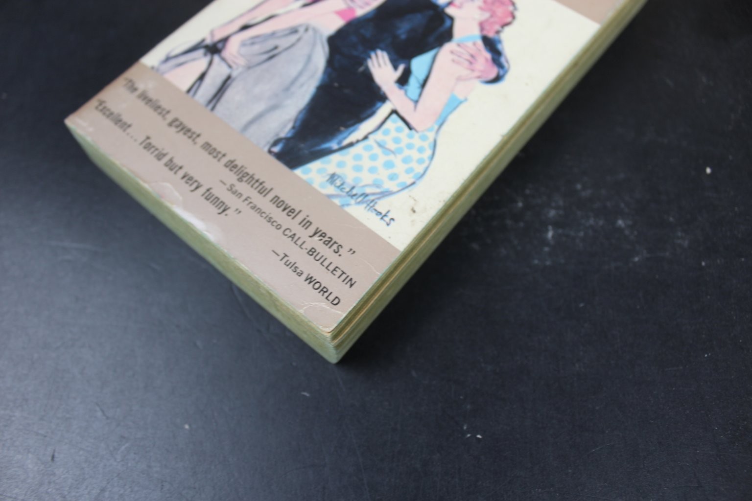 Onionhead Weldon Hill 1962 Popular Library Vintage Novel Mitchell Hooks Art PB