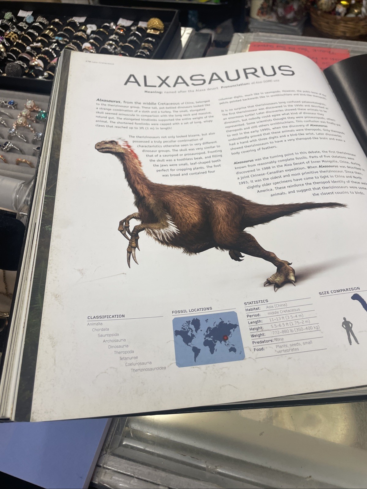 Dinosaurs by Benton, Dr Michael Hardback Book The Fast Free Shipping