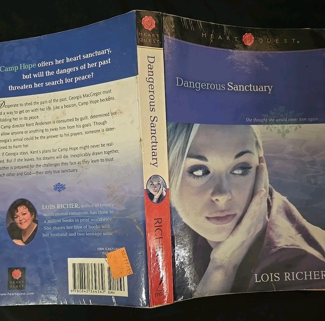 Dangerous Sanctuary by Lois Richer (2004, Trade Paperback)
