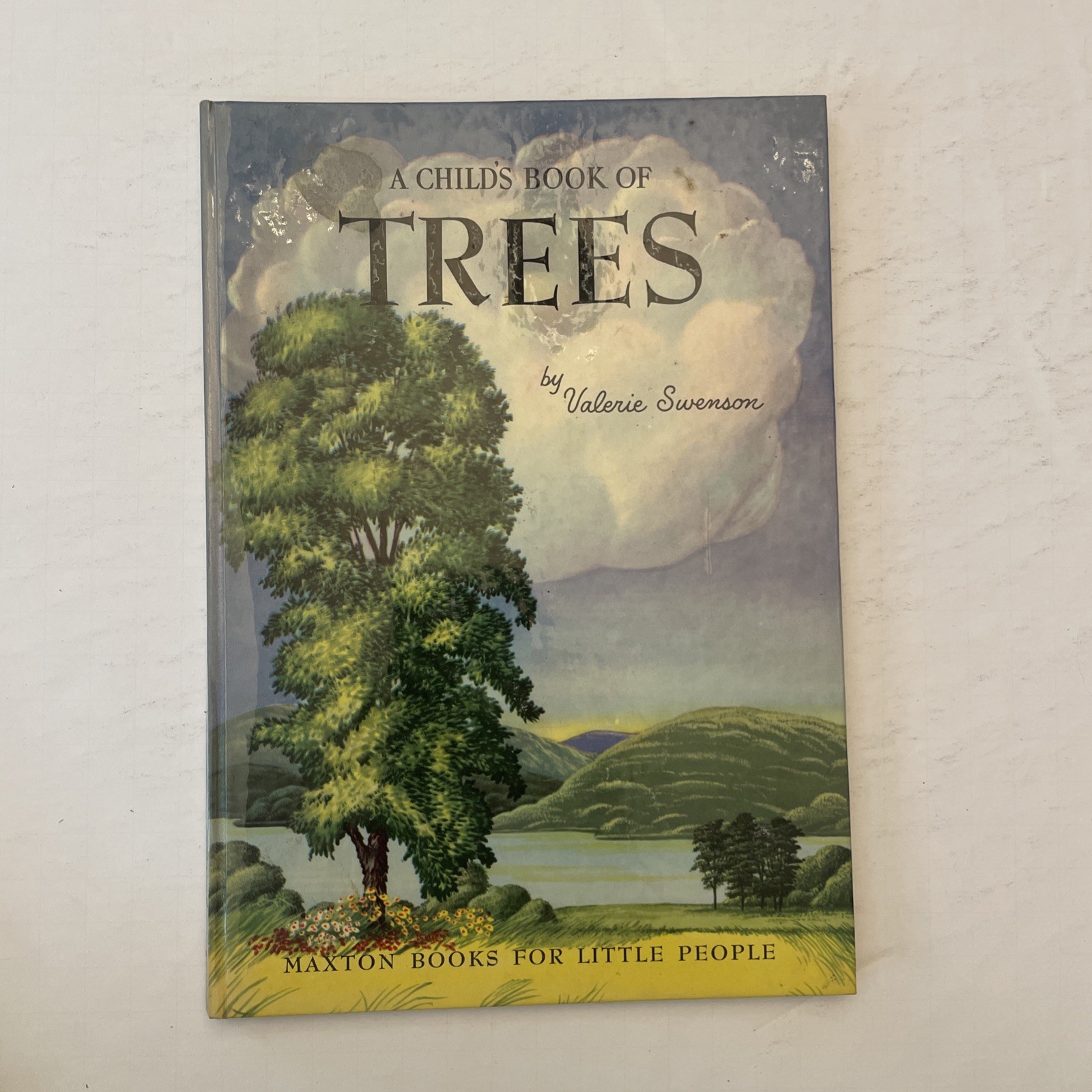 * Vintage Lot 6 A Child’s Book Of Stones Stars Animals Rovers Trees Sea Shells