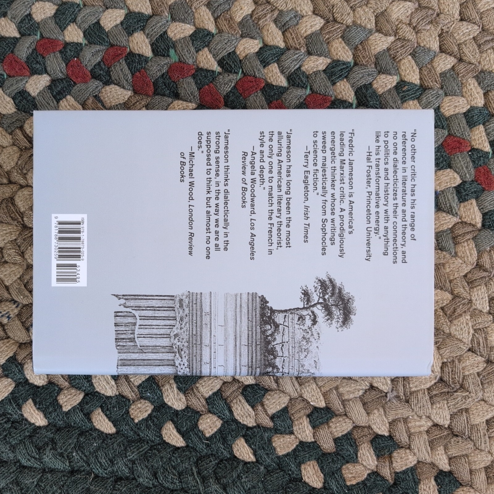 Allegory and Ideology by Fredric Jameson (2019, Hardcover)