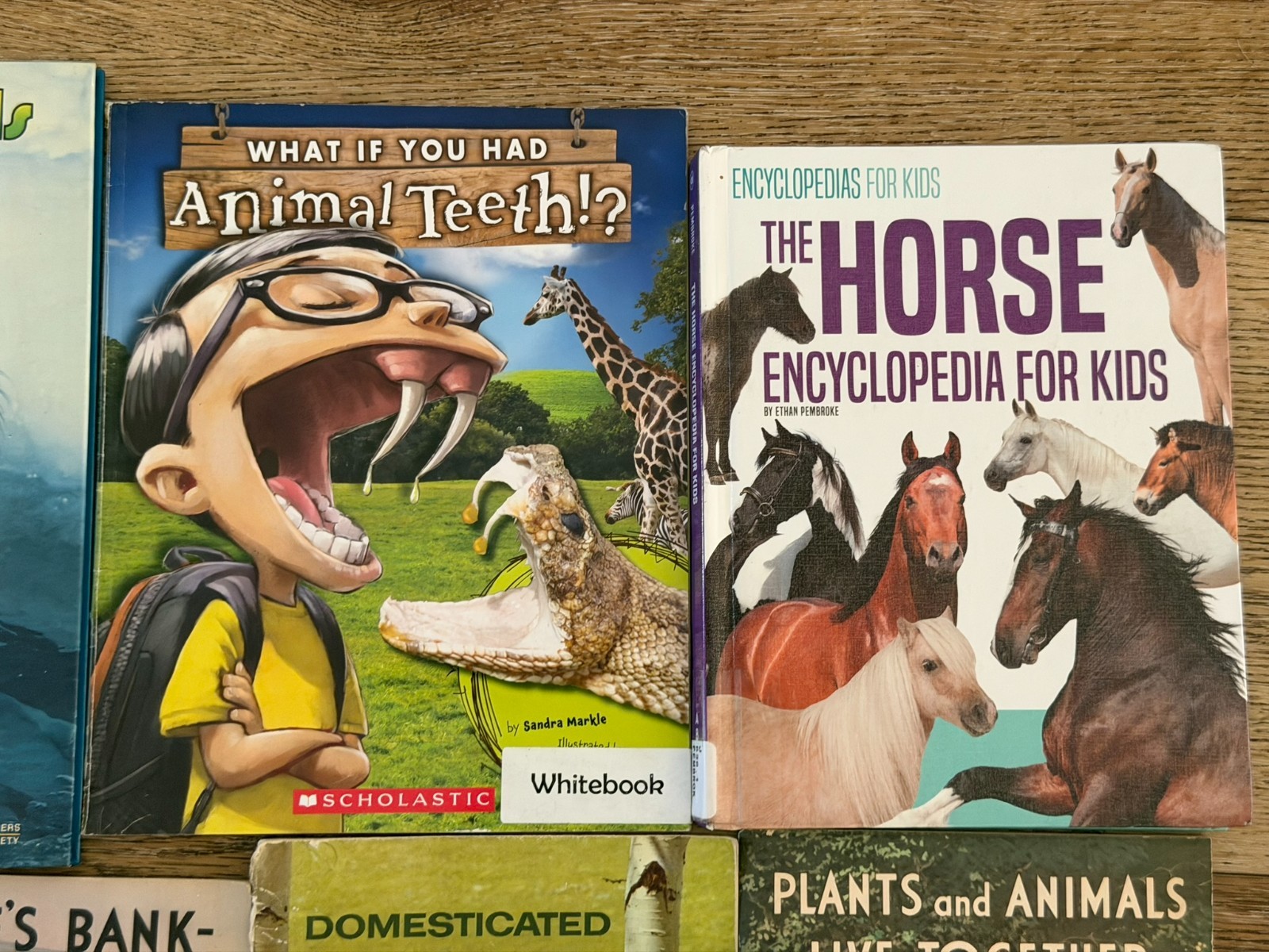 Lot of 15 Children’s Animal animals Picture Books Homeschool Sharks, Reptiles…