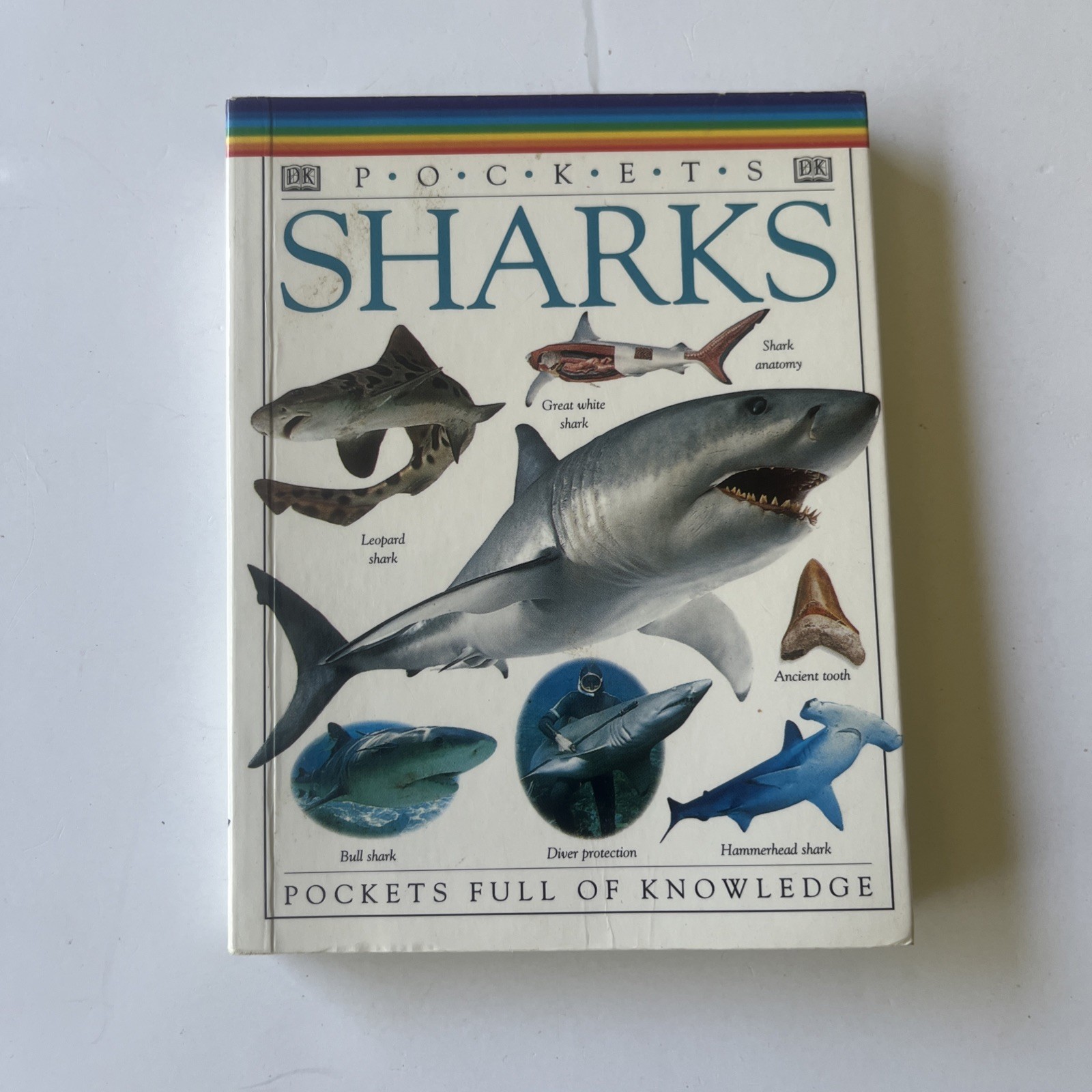 SHARKS DK Pockets Book📕Sharks by DK publishing Pockets Full Of Knowledge