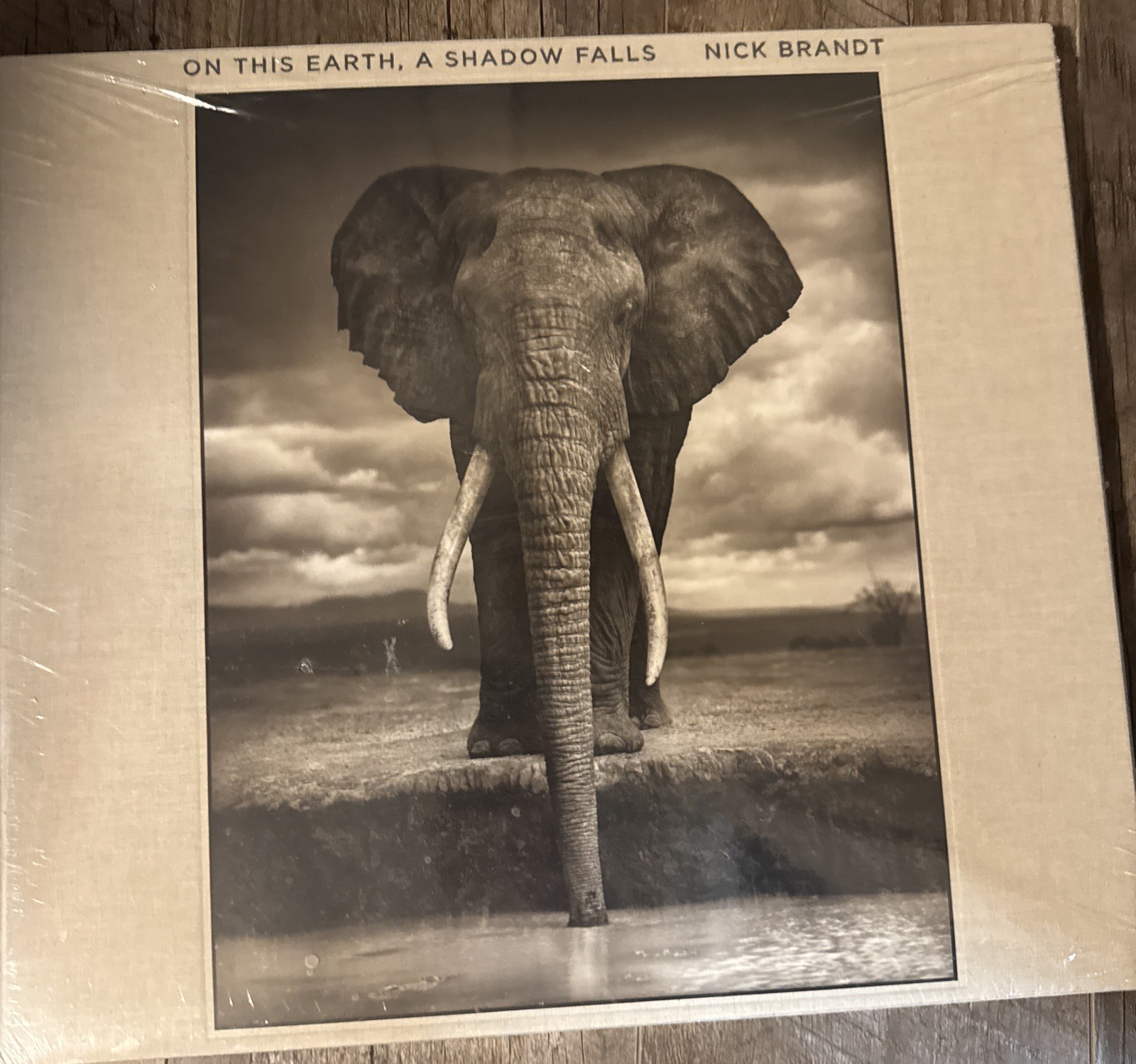 On This Earth A Shadow Falls by Nick Brandt Hardback New with Plastic Sleeve