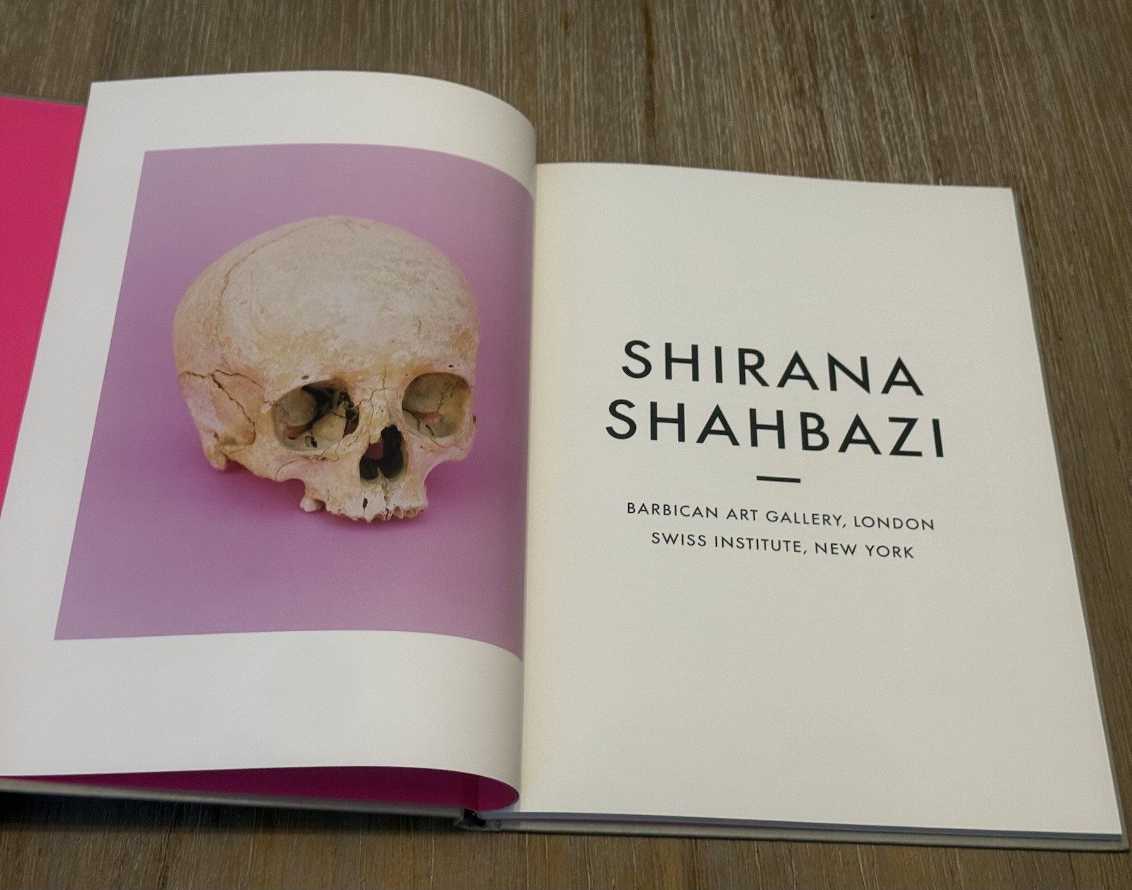 Shirana Shahbazi: Meanwhile by Shirana Shahbazi 2008 Hardcover / DJ