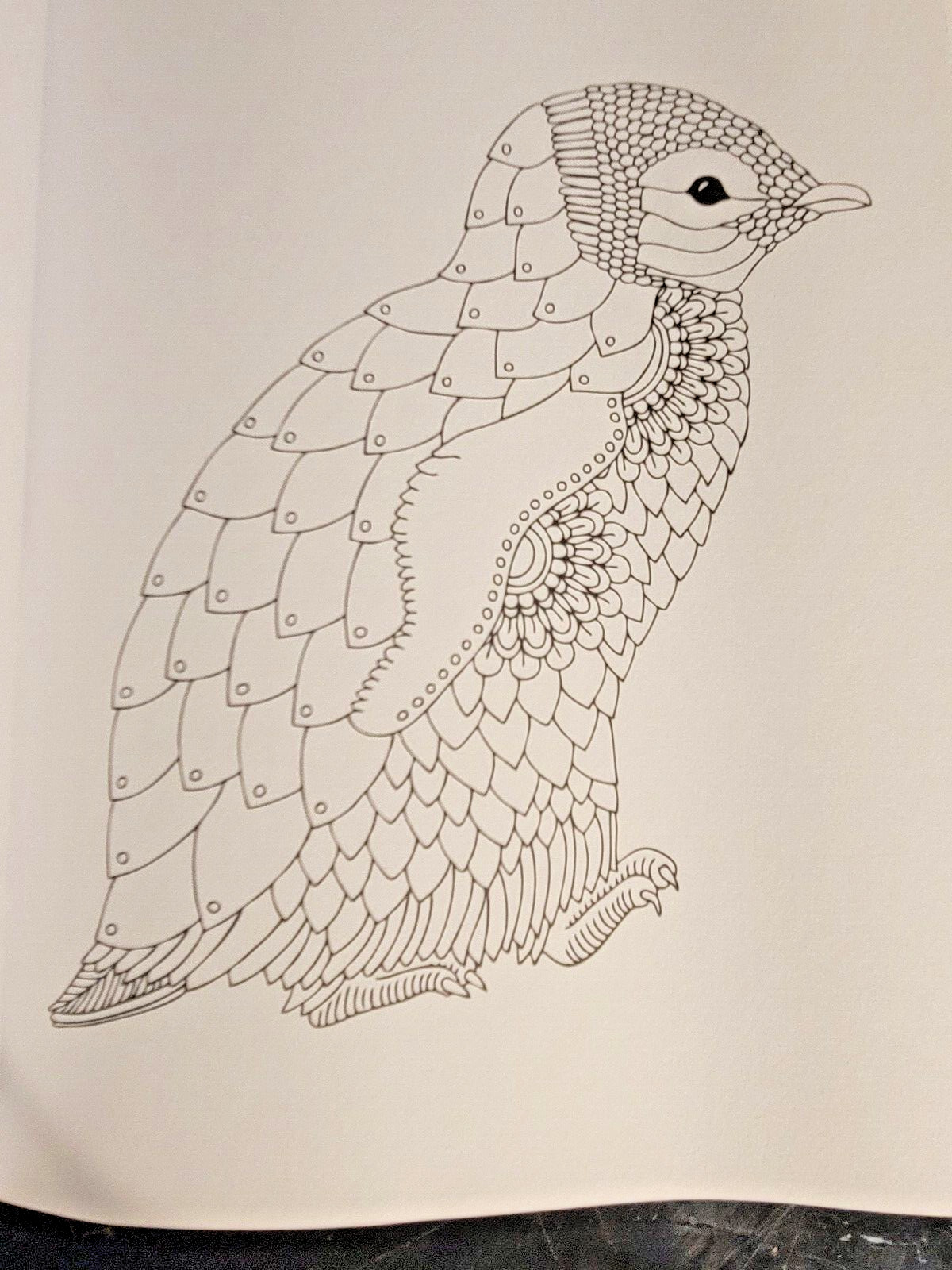 COLORS OF THE WILD! Vol. 16 Adult Coloring Book With 47 Prints Ready To Frame!