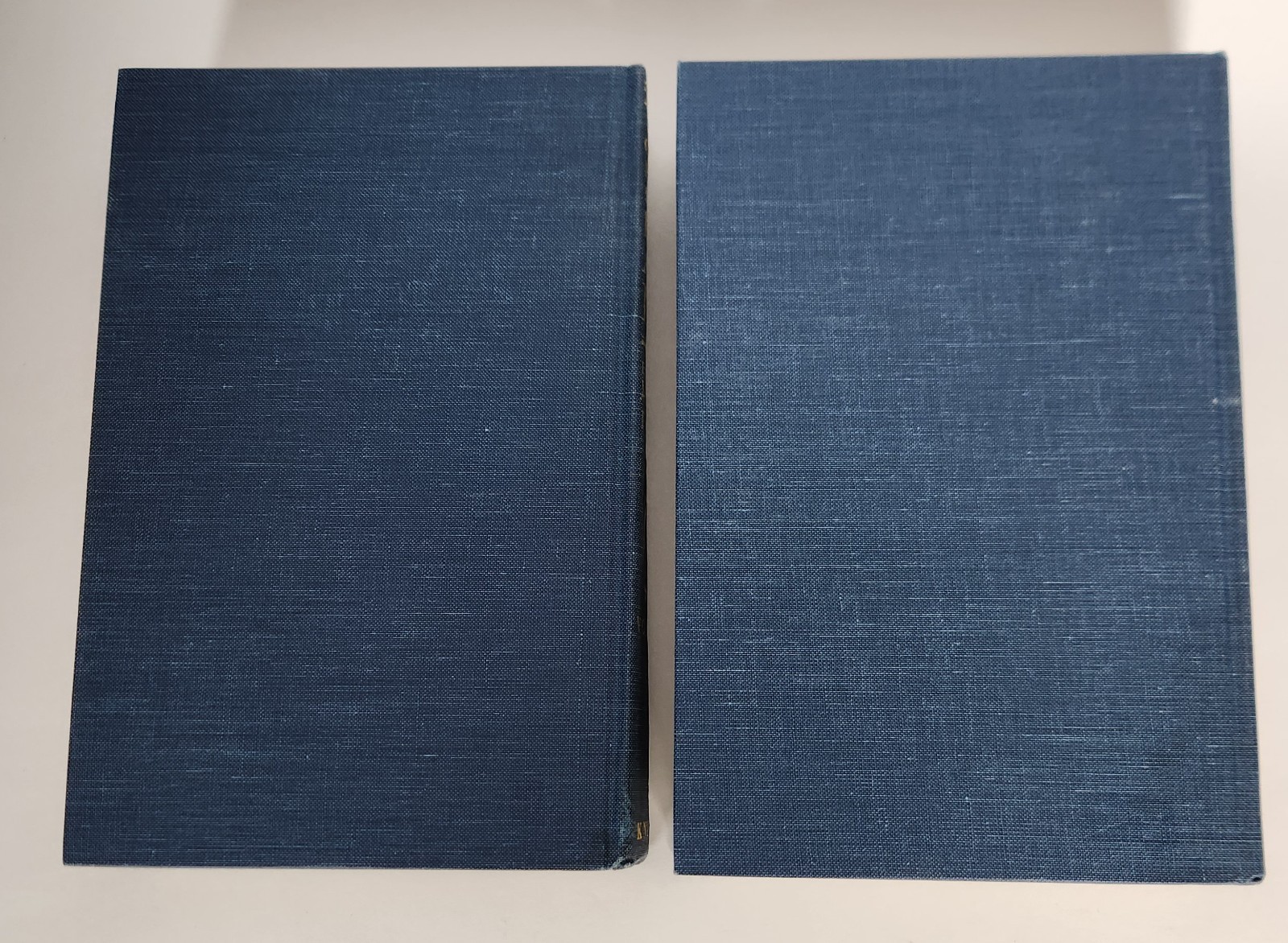 The Borzoi Poe Edgar Allan Poe Complete Poems and Stories 2 Volume Set Slipcase