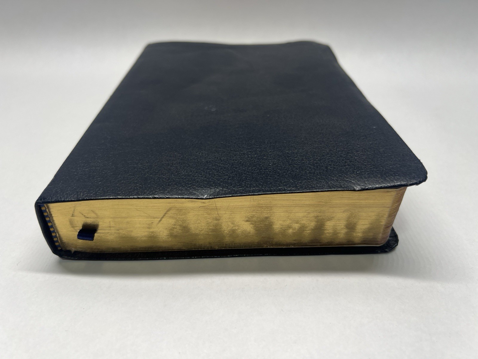 The Catholic Youth Bible Revised (2005)
