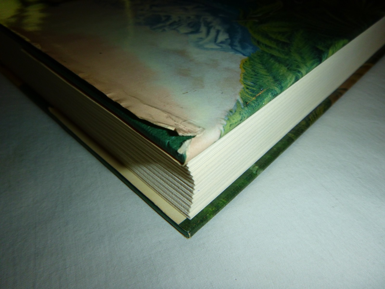The Clan of the Cave Bear – 1st Ed. /1st Printing Jean M. Auel 1980 HC SIGNED