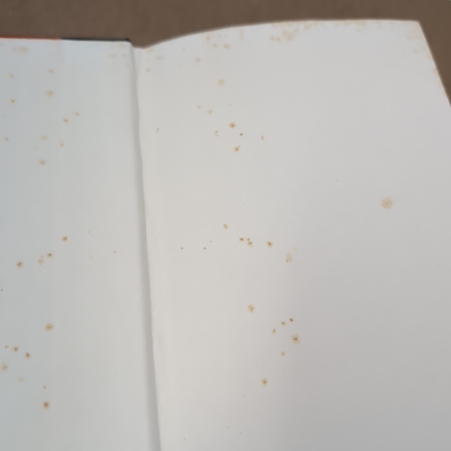 Stephen King Cujo 1981 Viking Book Club Edition Hard Cover Dust Jacket
