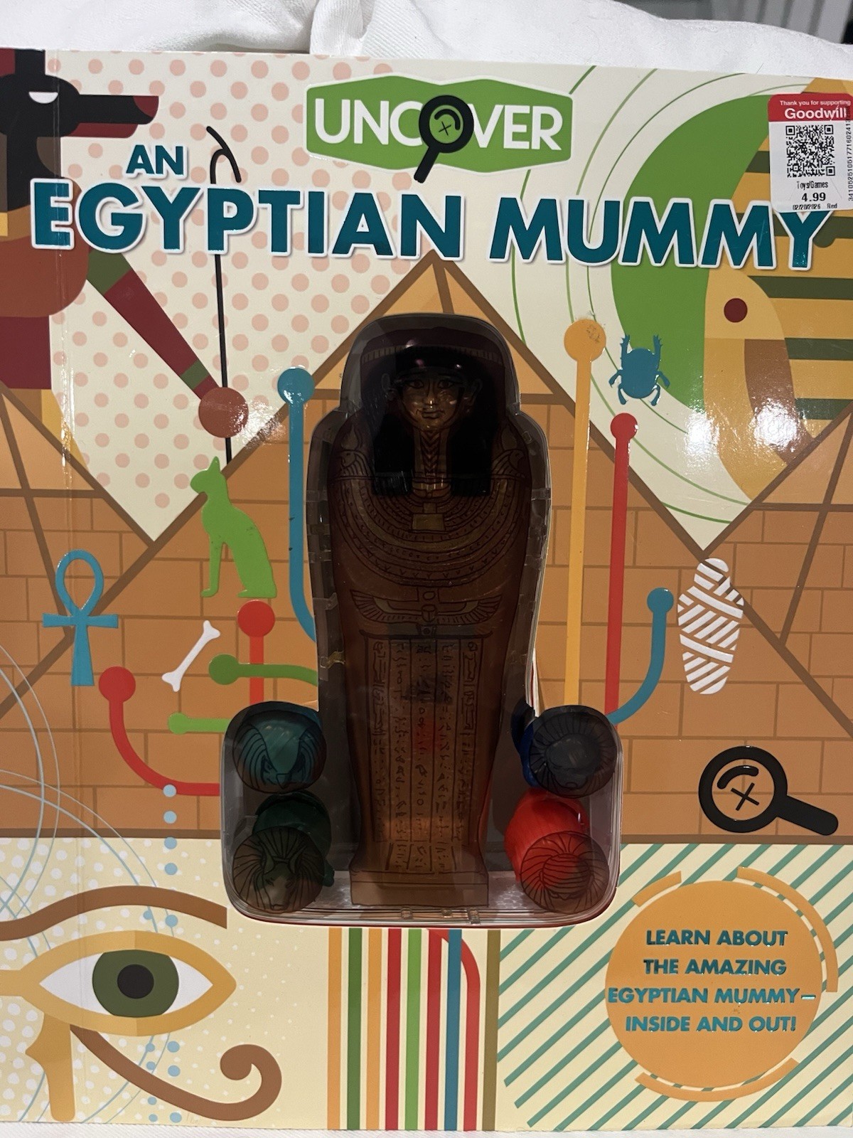 Uncover an Egyptian Mummy