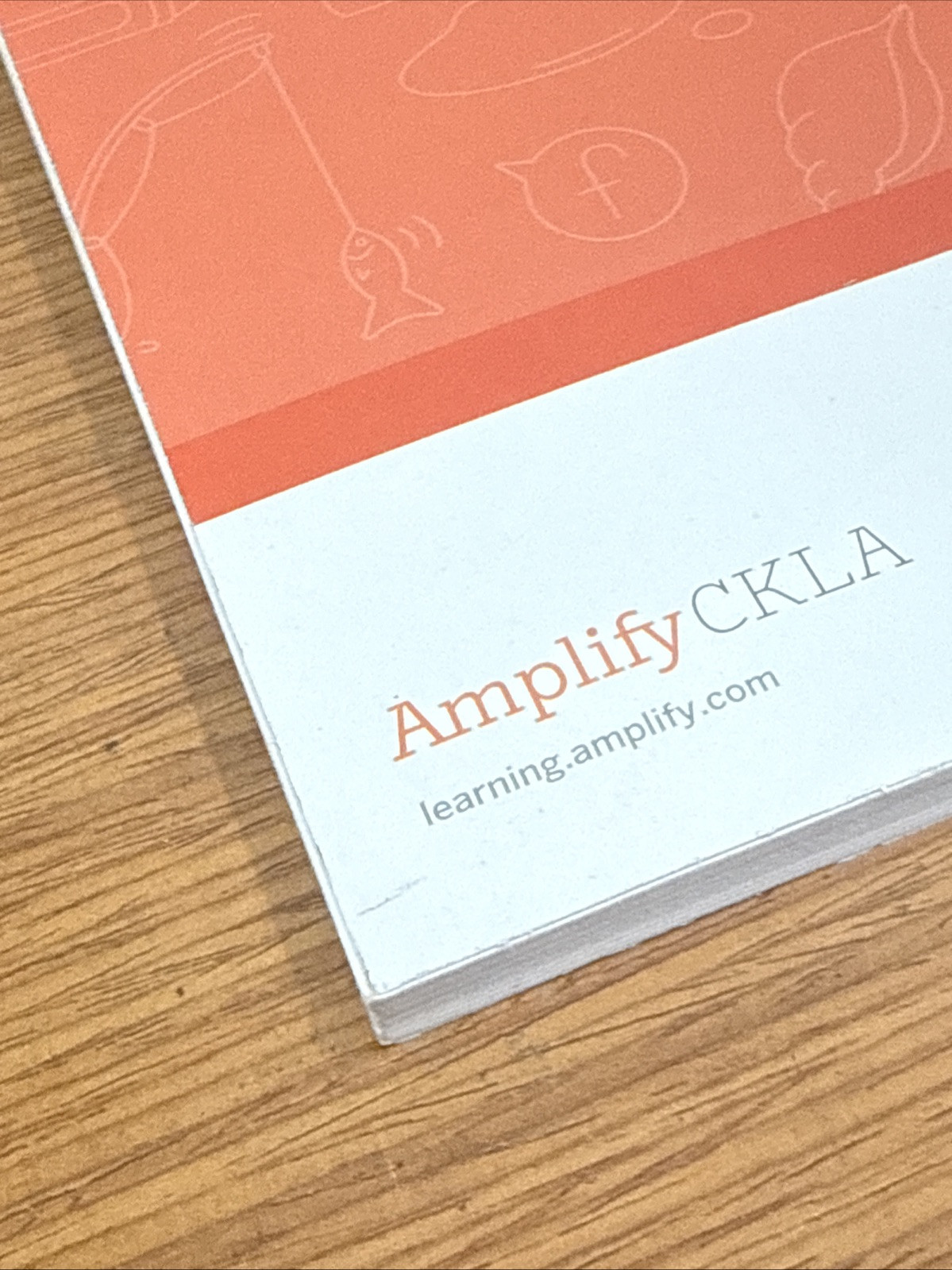 Amplify Core Knowledge Language Arts Skills 5 Activity Book Kindergarten
