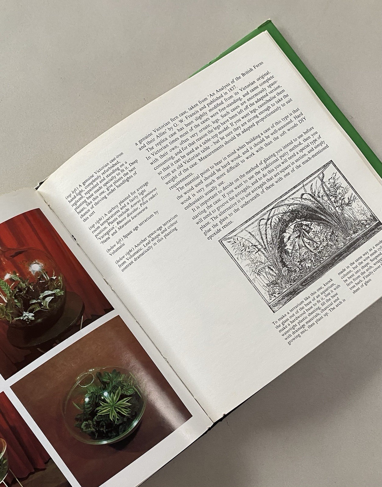 Bottle Gardens by Roger Grounds (1976 1st Ed. HCDJ) Terrariums