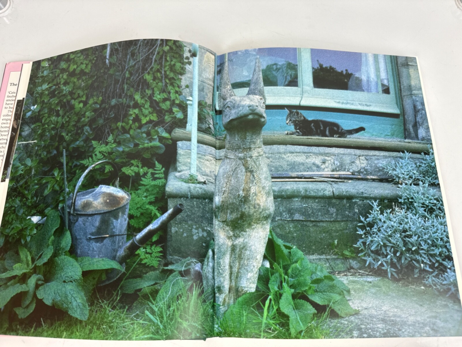 ‘The English Cat at Home’ by Matthew Sturges Hardcover Book 158 Pages c 1988