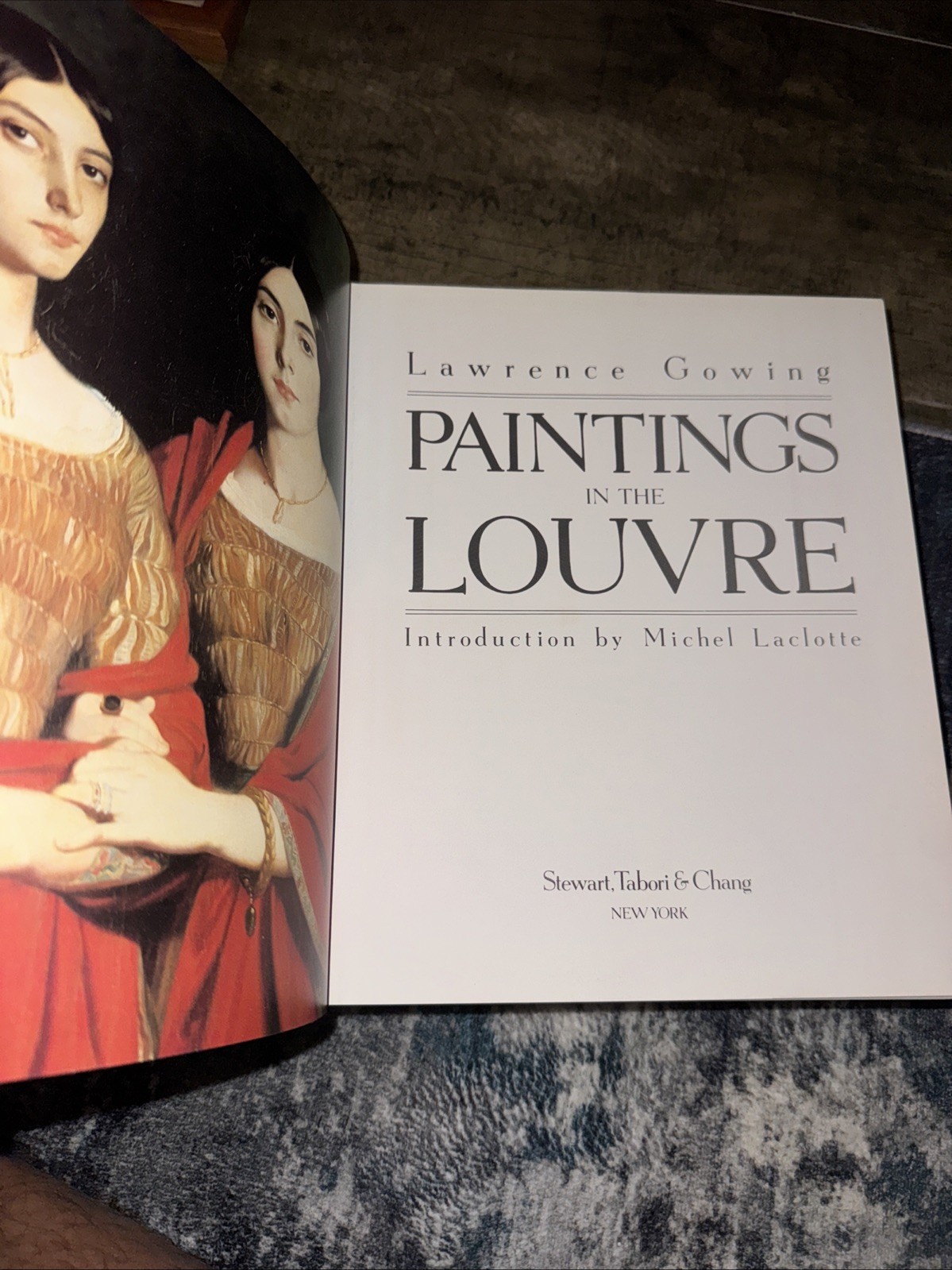 Paintings in the Louvre by Lawrence Gowing (1994, Hardcover)