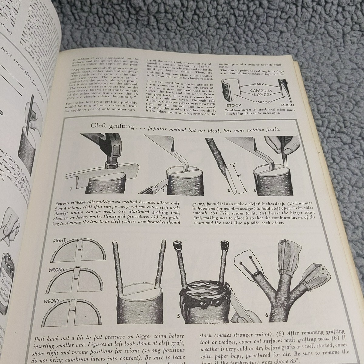 Sunset Magazine BASIC GARDENING ILLUSTRATED Vintage 1974