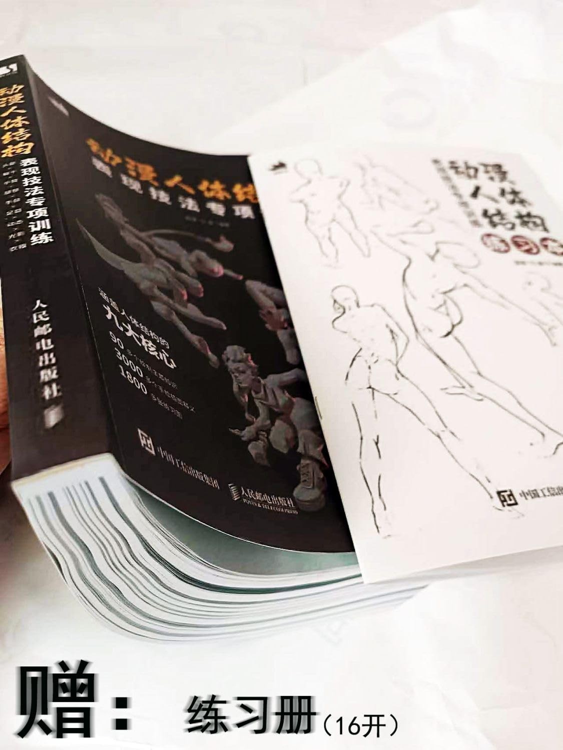 动漫人体结构表现技法专项训练(精) Hardcover – June 1, 2022