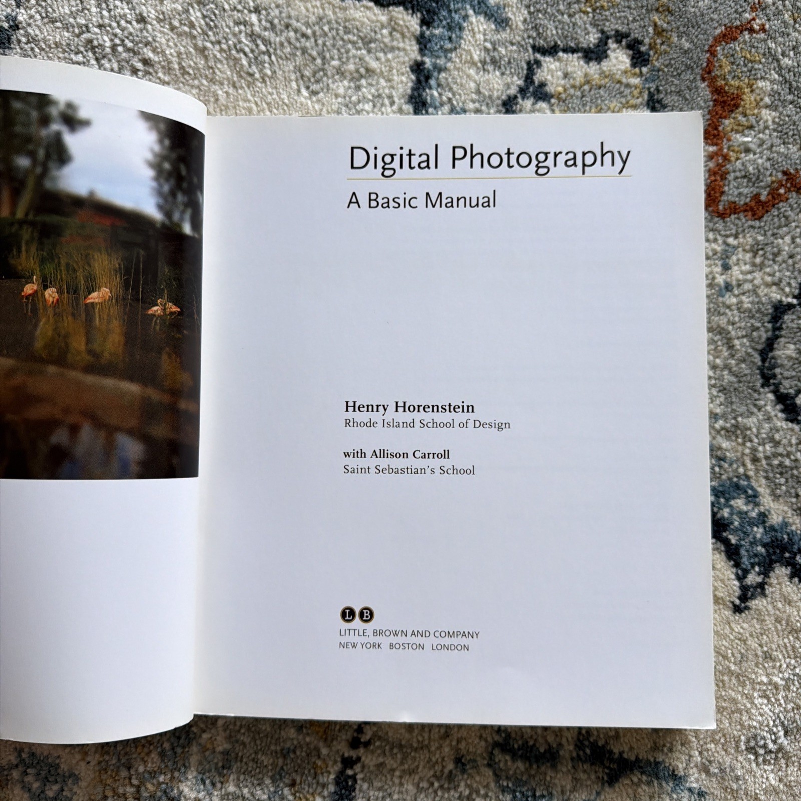 Digital Photography : A Basic Manual by Henry Horenstein (2011)