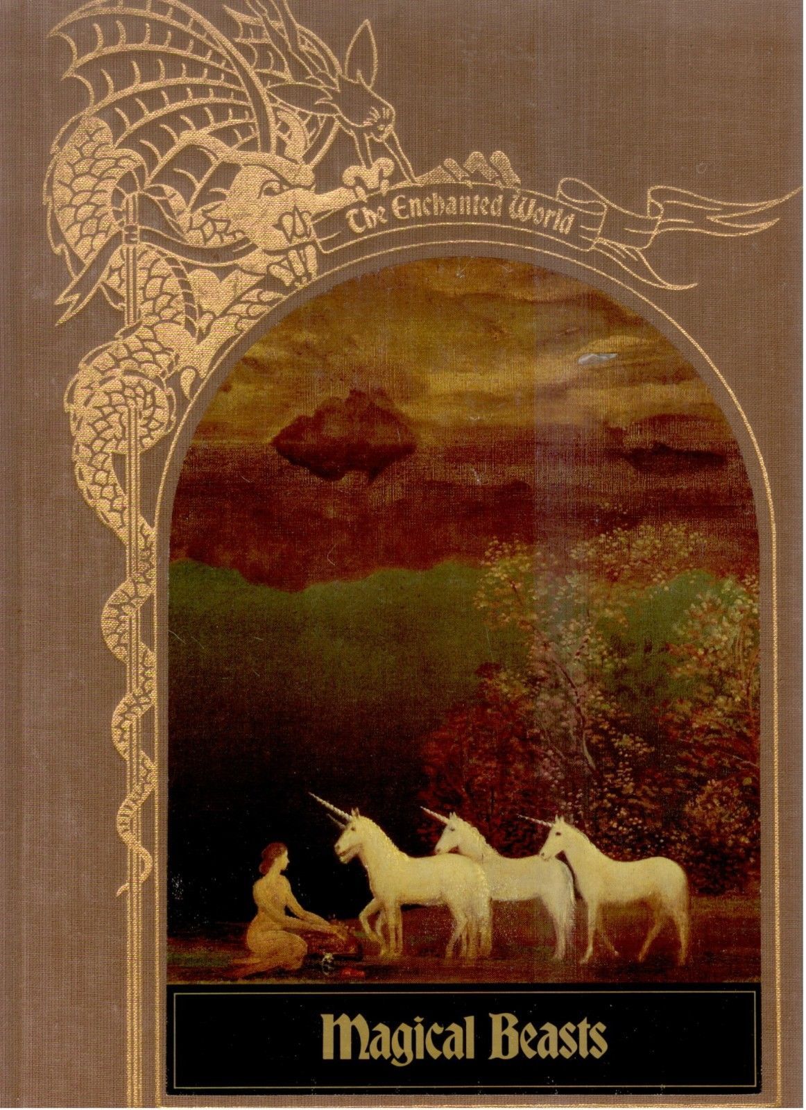 Magical Beasts (Enchanted World Series)