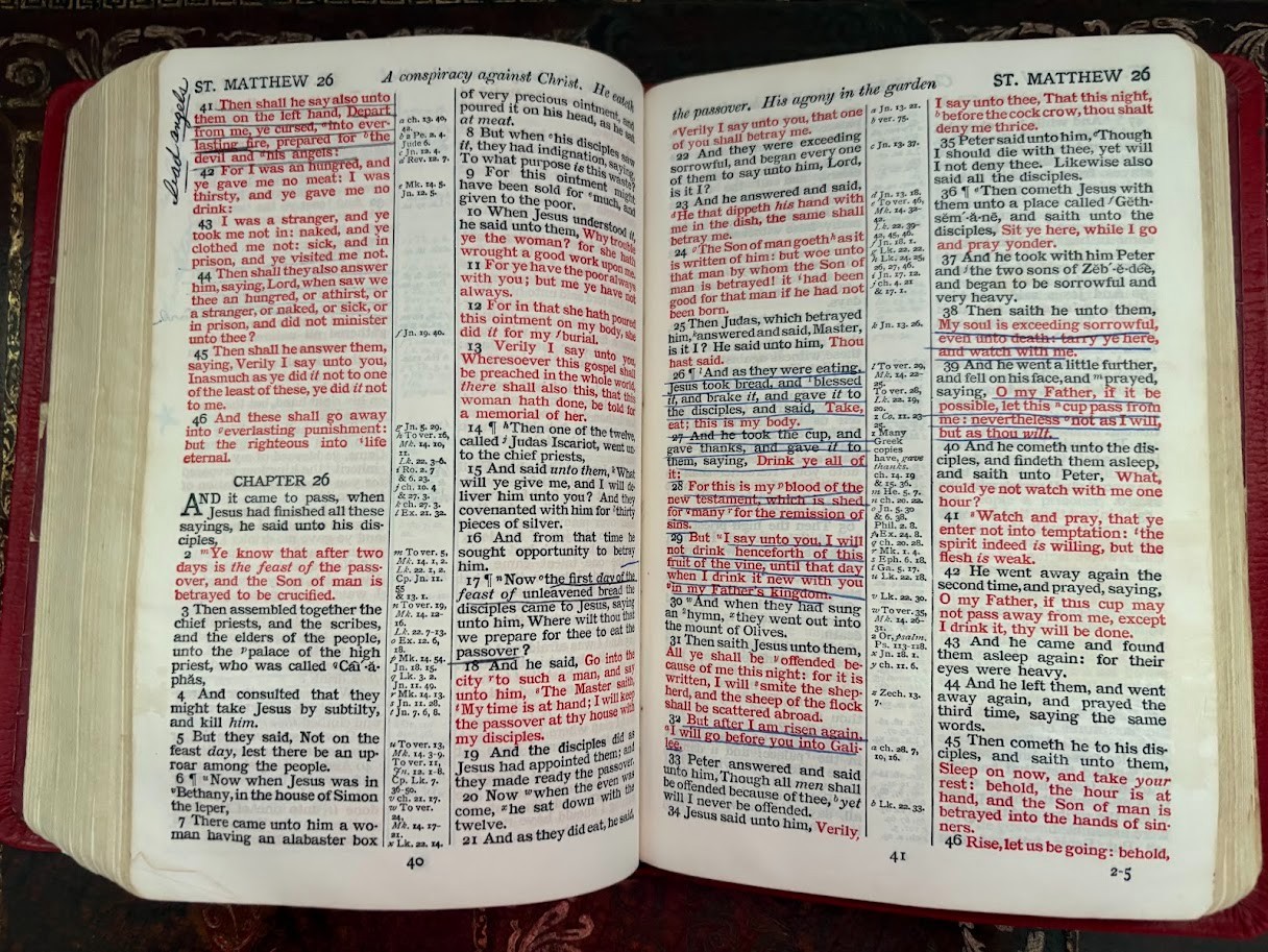 Holy Bible KJV Appointed To Be Read In Church Indian Calfskin Leather Cambridge