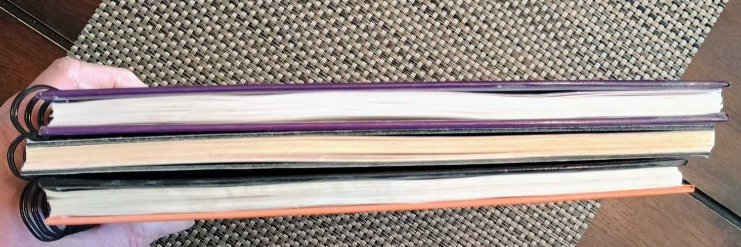 🐎 Lot of 3 Horse Hollow Press Spiral Bound books ~ Treats, Tricks & Pampering✨