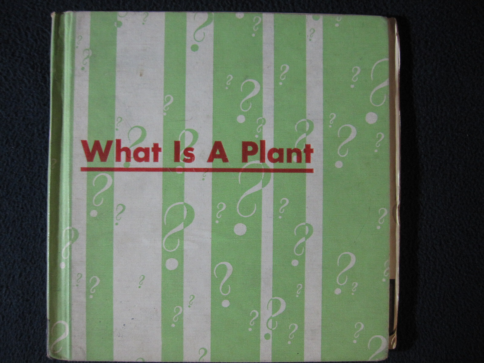 What is a Plant (The What is it series) Darby, Gene