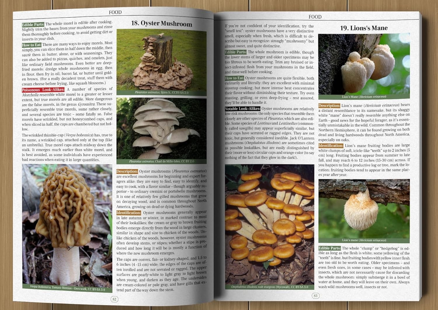 Wilderness Long-Term Survival Guide : Forgotten Skills to Make…