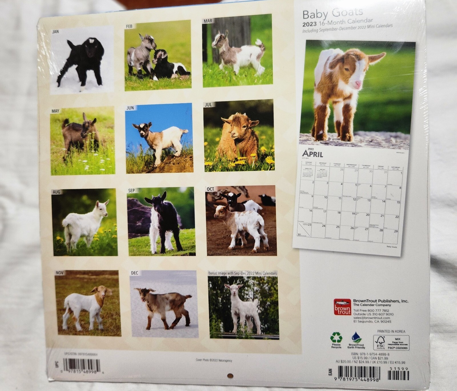 BROWN TROUT, BABY GOATS 2023 SQUARE WALL CALENDAR NEW FARM ANIMAL KID GOAT