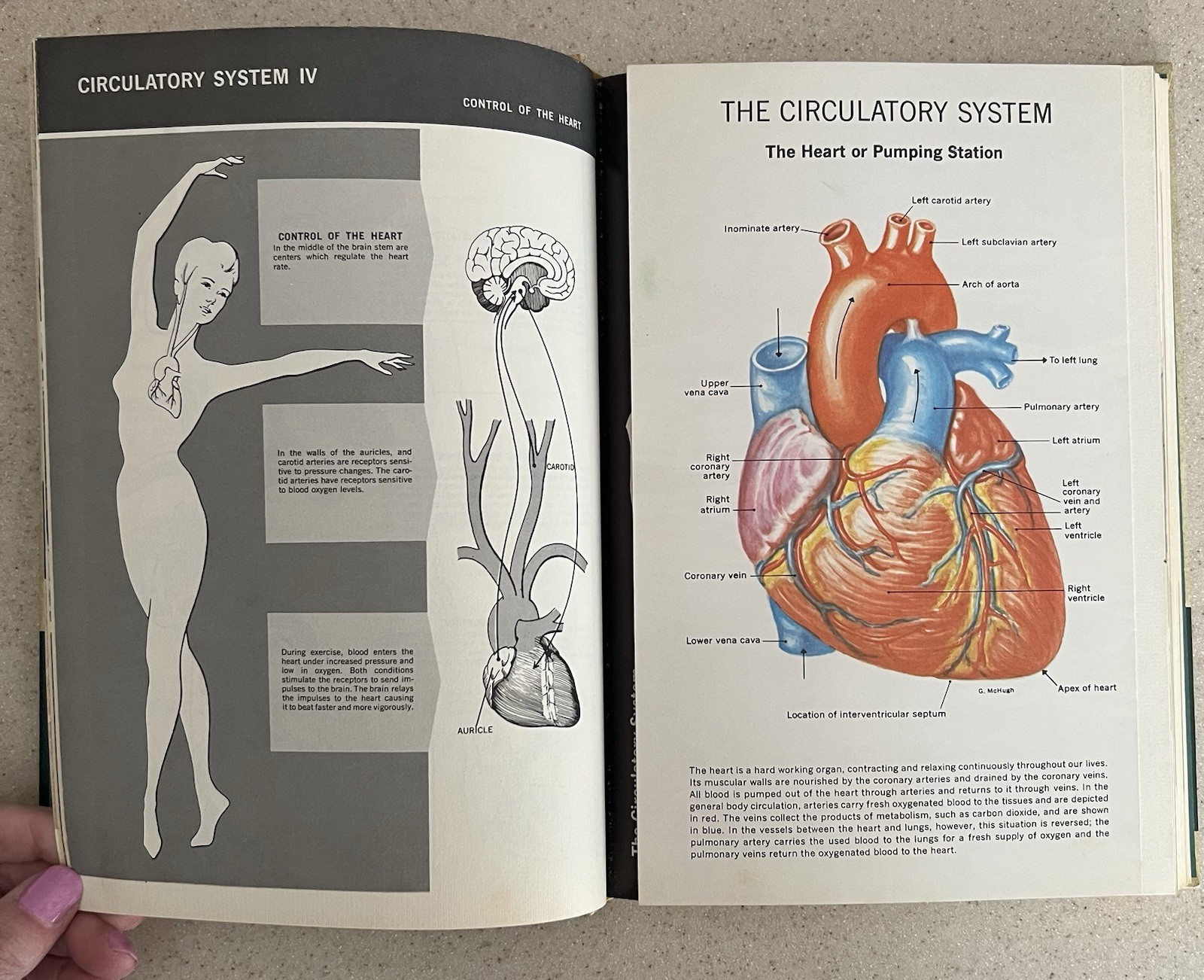 Vtg 1964 The New Illustrated Medical & Health Encyclopedia 1-14 Complete Set HB