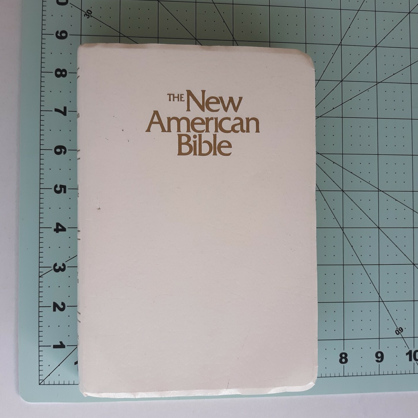 The New American Bible Official Catholic Bible Catholic World Press 2402W White
