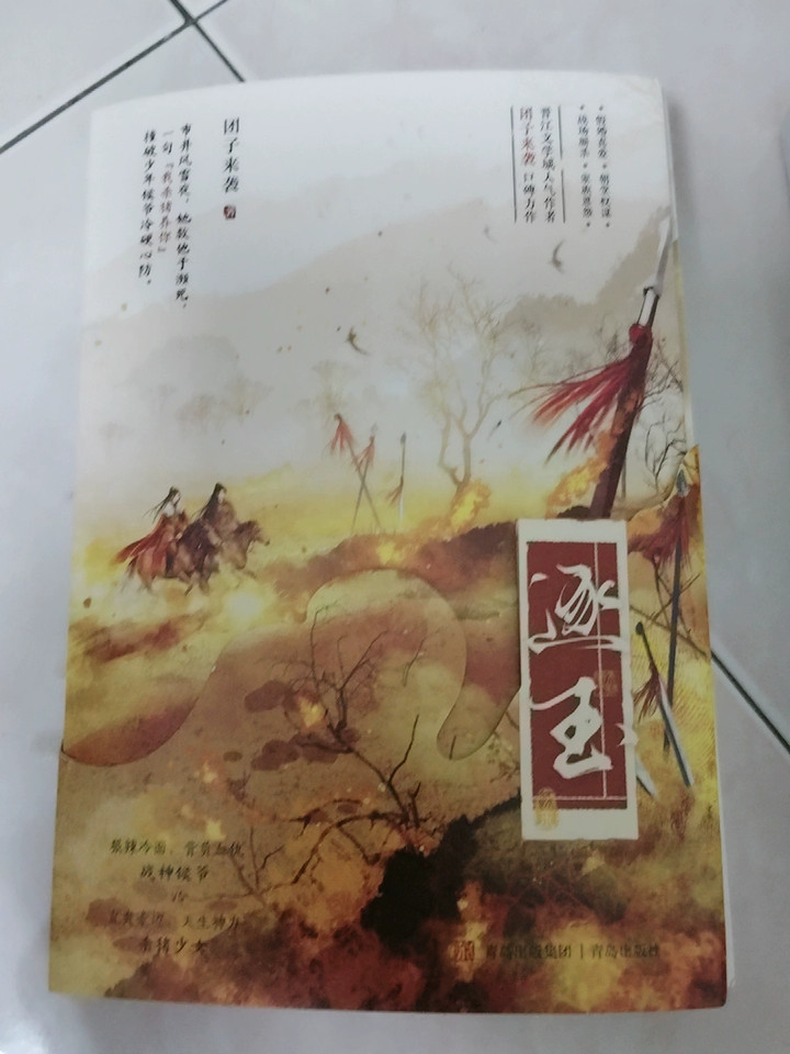 Zhu Yu Original Novel Books Love Story w/Poster Bookmark 逐玉 团子来袭著 张凌赫 田曦薇