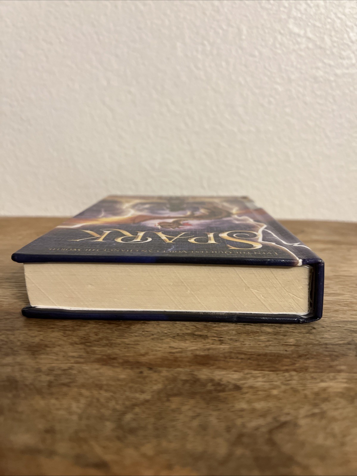 Spark Sarah Beth Durst Hardcover Book 2019