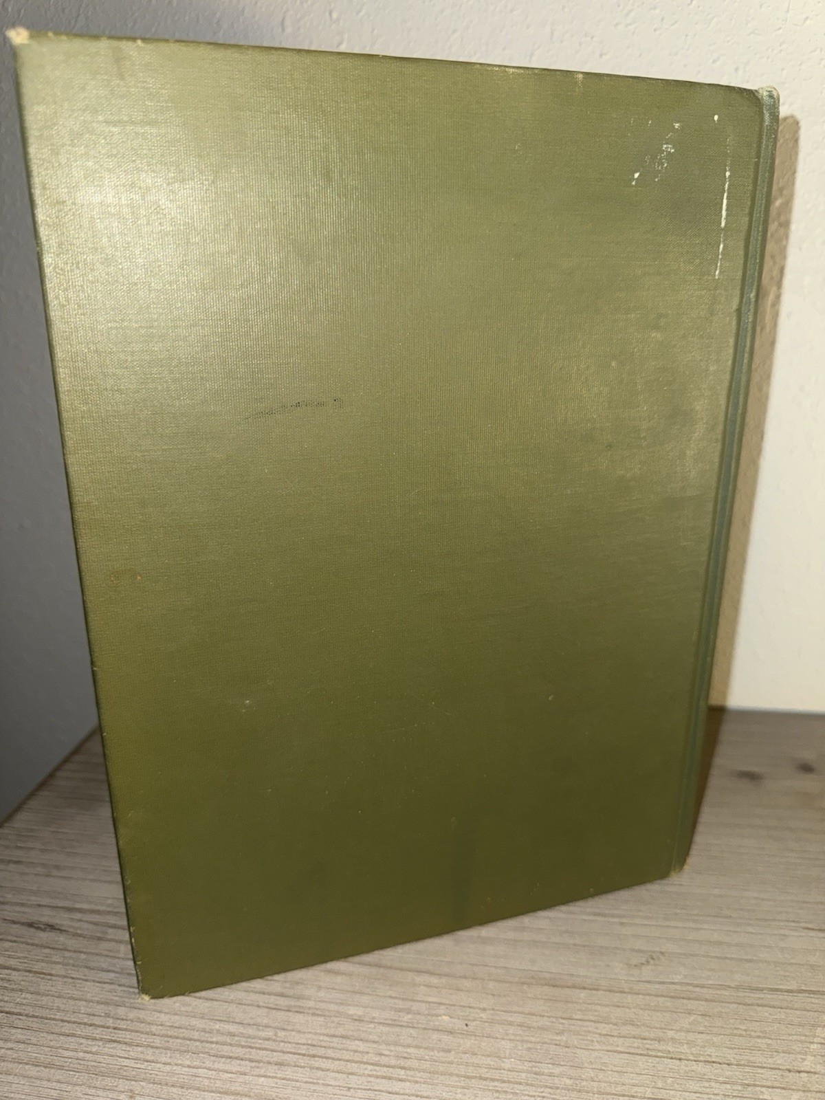 Vanished Towers and Chimes of Flanders George Wharton Edwards 1916 HC Antique