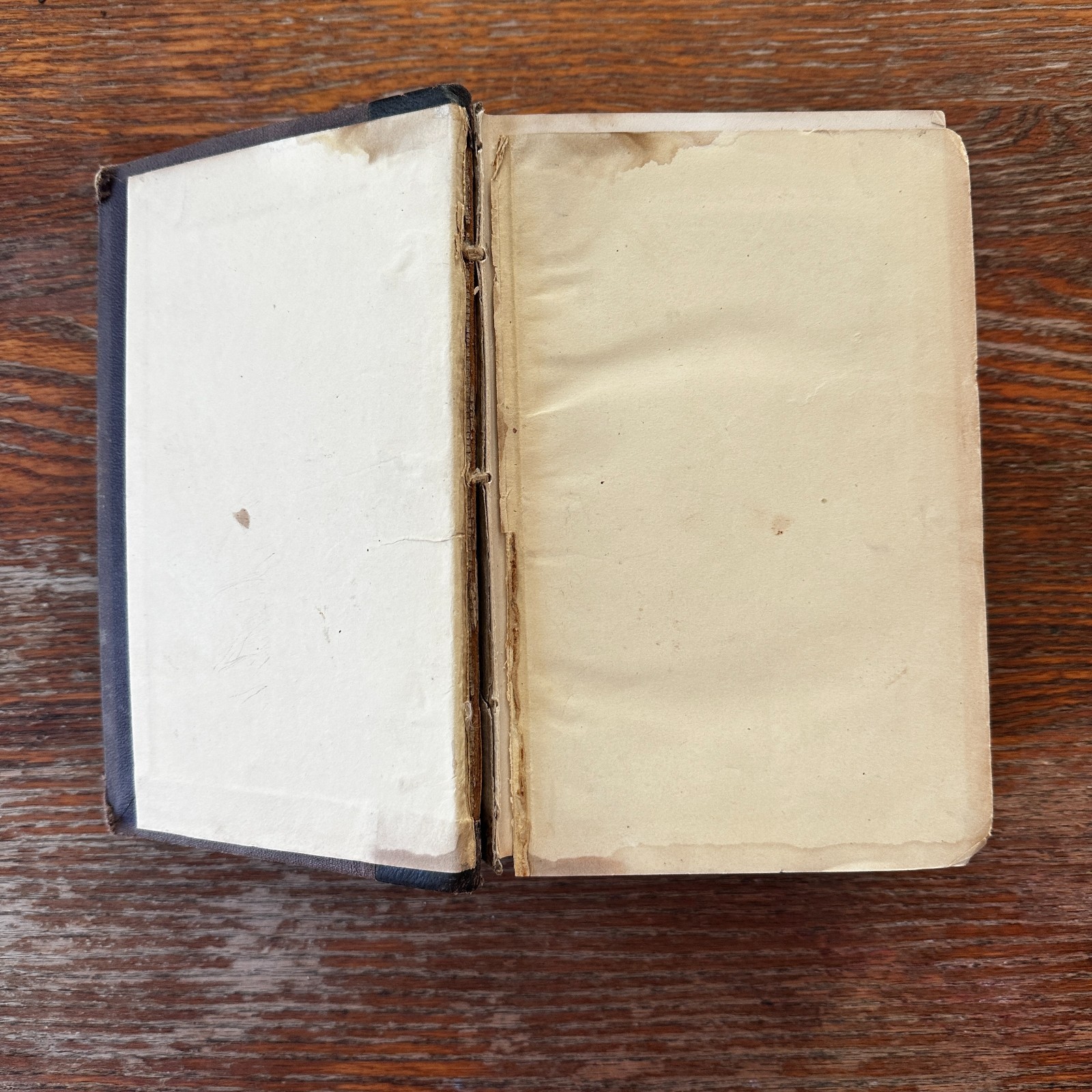 Text Book of Modern Medicine and Surgery On Homeopathic Principles HC 1876