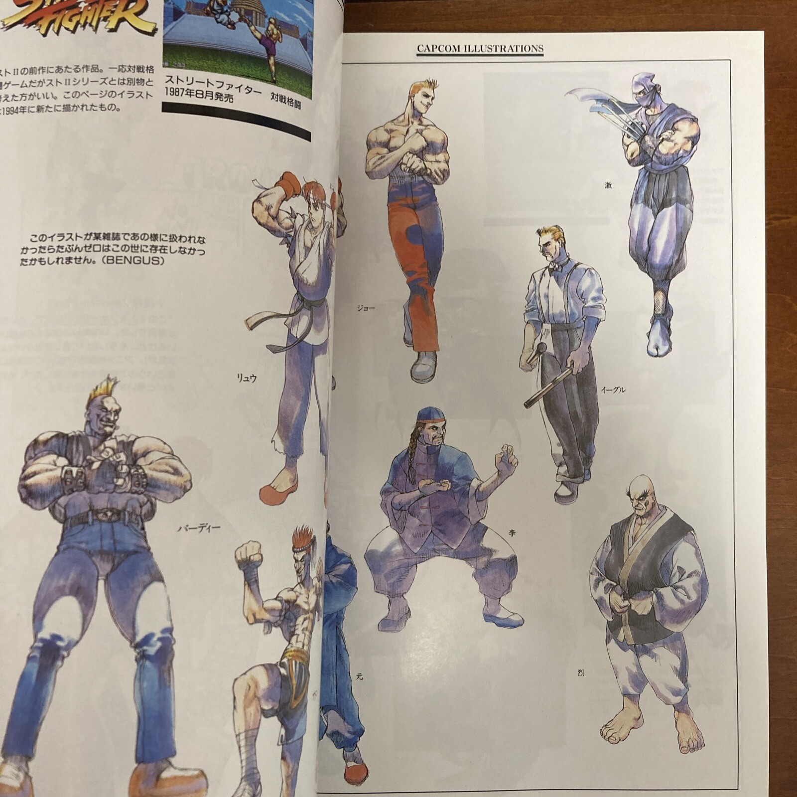 Capcom Illustrations Art Book