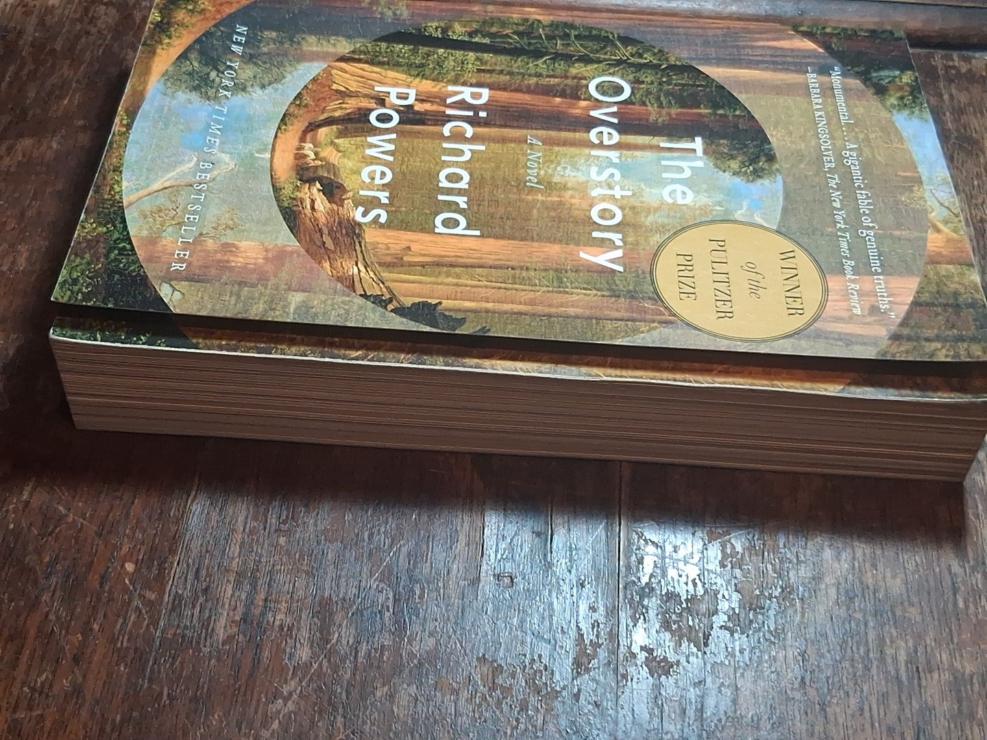 The Overstory Trade Paperback Book by Richard Powers 2018 Novel