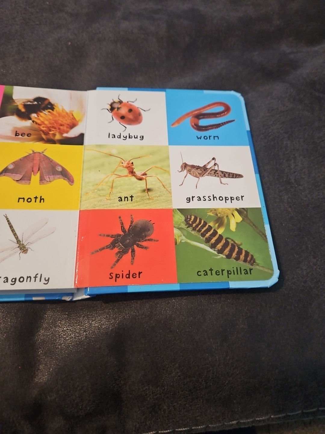 2011, “First 100 Animals” by Roger Priddy Children’s Board Book