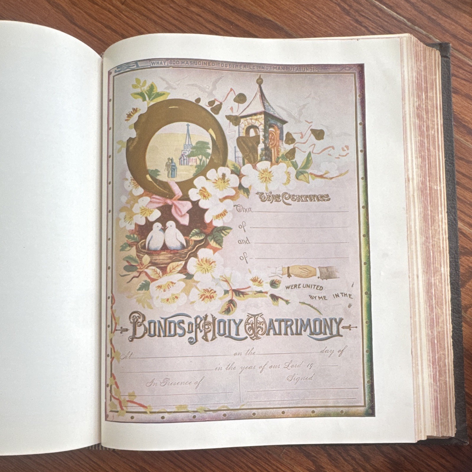 Vintage Illustrated Holy Bible – Ornate Victorian Cover